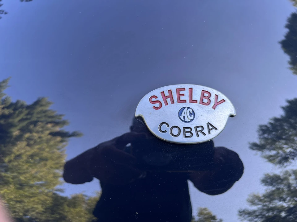 Shelby Cobra Replica - Image 20 of 31