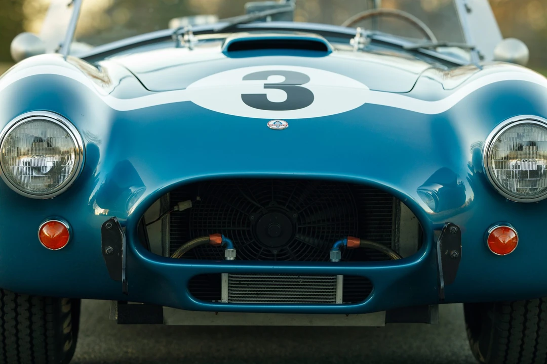 Shelby Cobra Replica - Image 30 of 31
