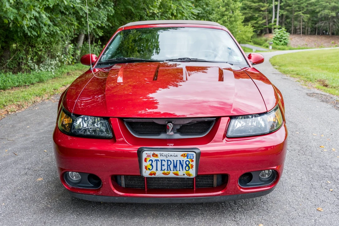 2003 Ford SN95 Mustang Cobra - Image 15 of 31