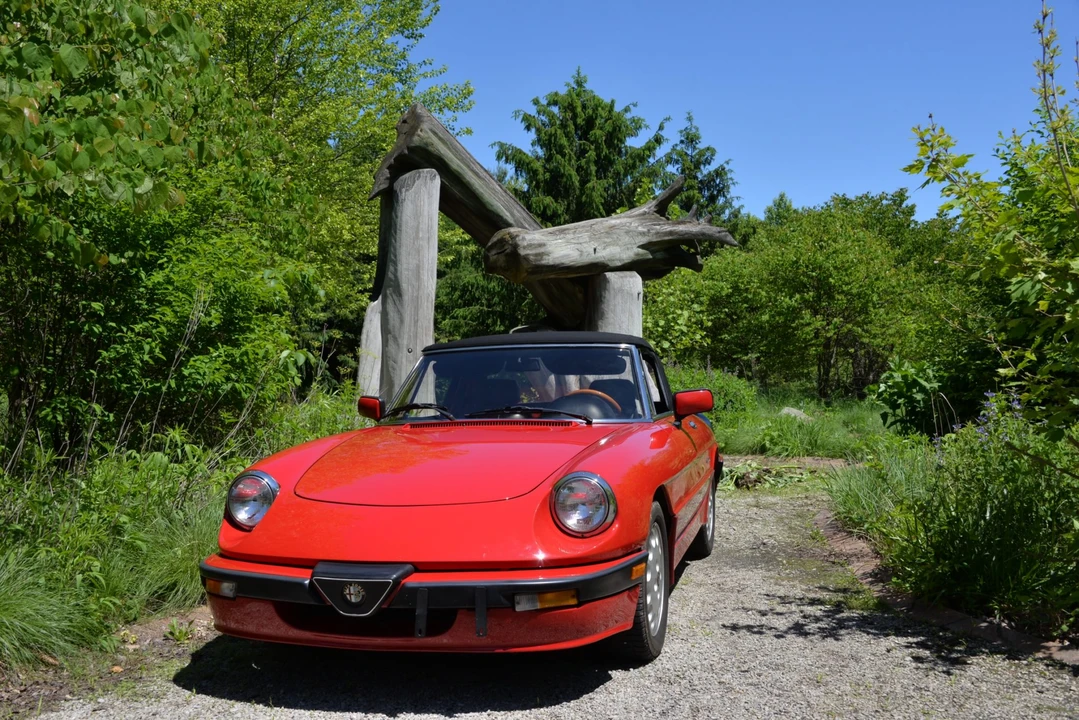 1987 Alfa Romeo Series 3 - Image 17 of 31