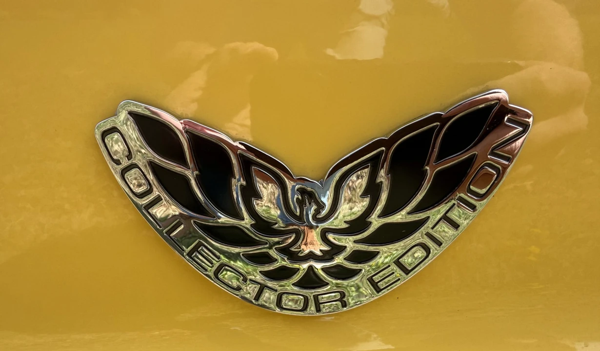 2002 Pontiac Firebird Trans Am 4th Gen - Image 29 of 31