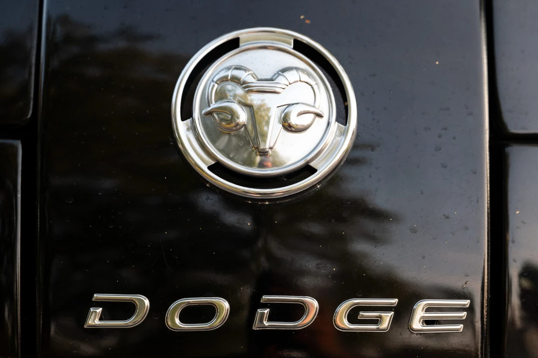 1955 Dodge C Series - Image 28 of 31