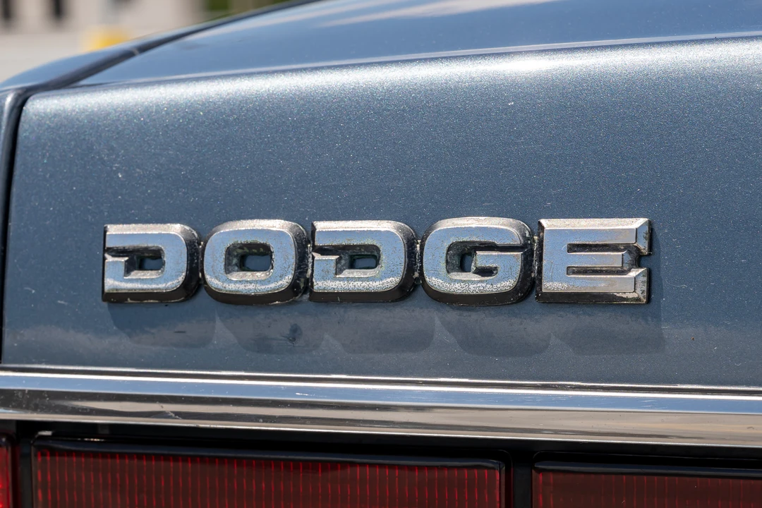 1986 Dodge 600 - Image 30 of 31