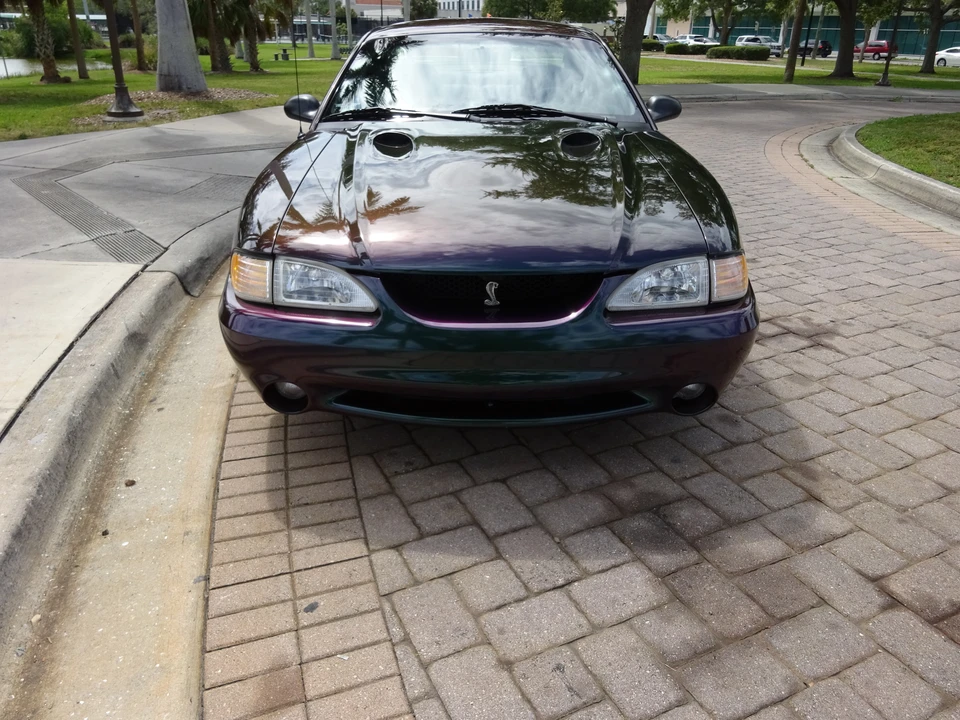 1996 Ford SN95 Mustang Cobra - Image 10 of 31