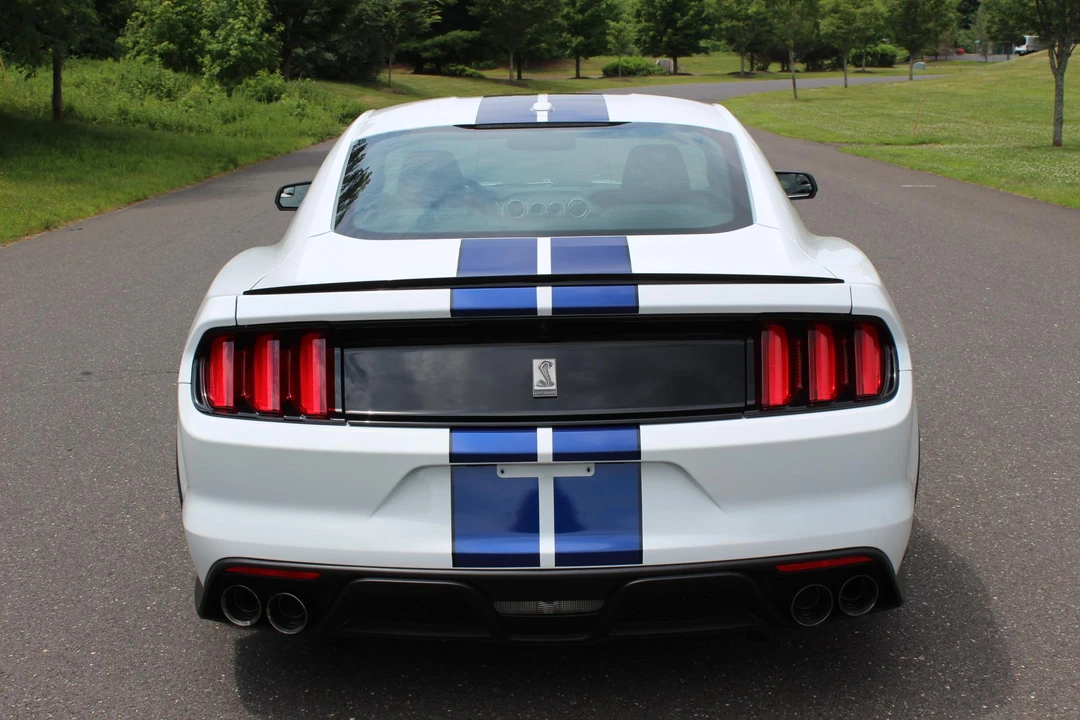 2015 Ford S550 Shelby Mustang GT350 - Image 10 of 31