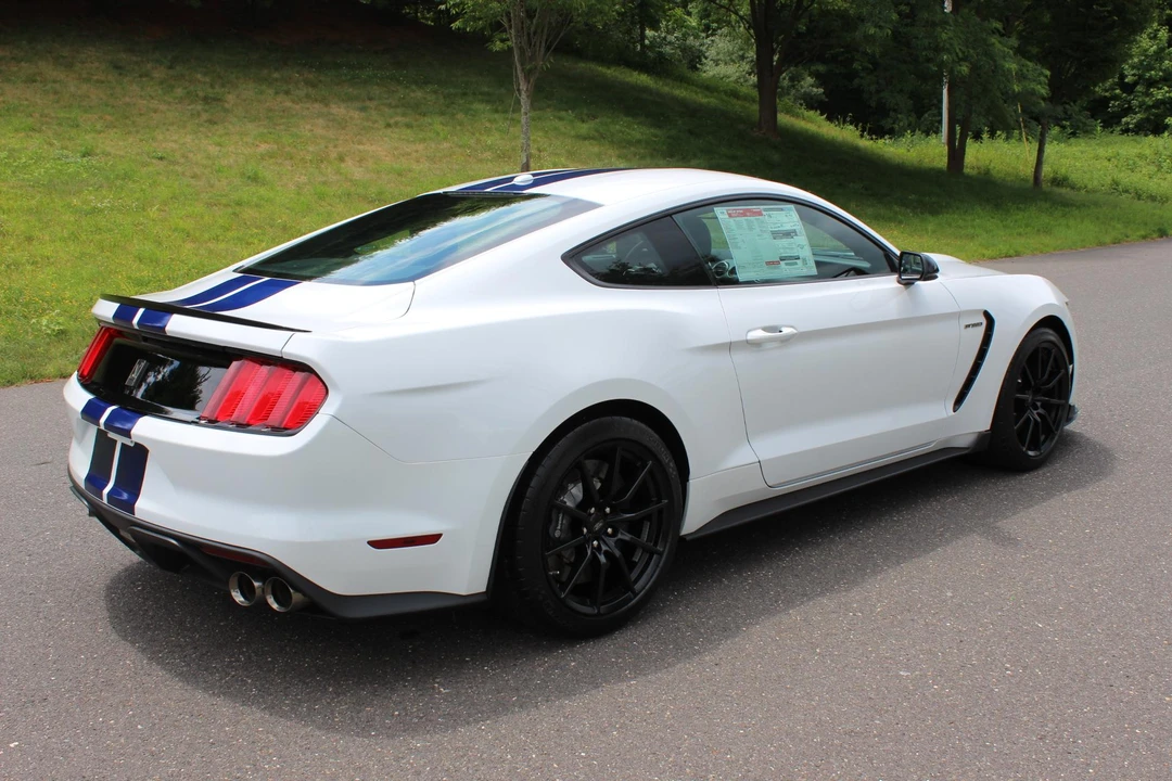 2015 Ford S550 Shelby Mustang GT350 - Image 13 of 31