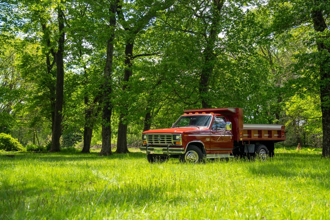 1986 Ford F-Series 7th Gen - Image 18 of 31