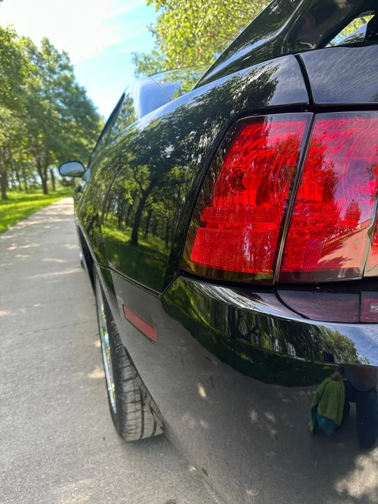 2004 Ford SN95 Mustang - Image 28 of 31
