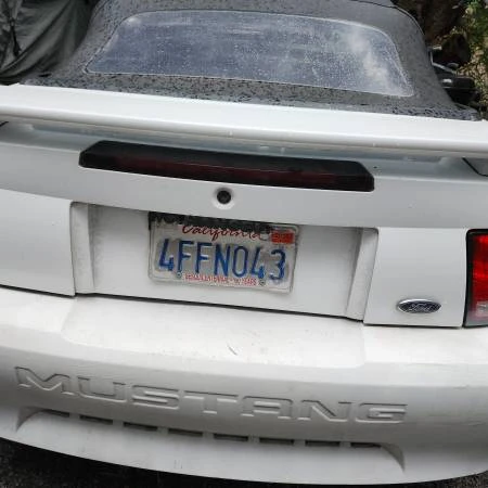 1999 Ford SN95 Mustang - Image 2 of 5