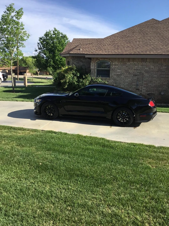 2018 Ford S550 Shelby Mustang GT350 - Image 16 of 31