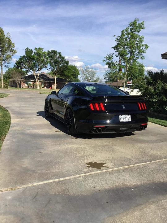 2018 Ford S550 Shelby Mustang GT350 - Image 15 of 31