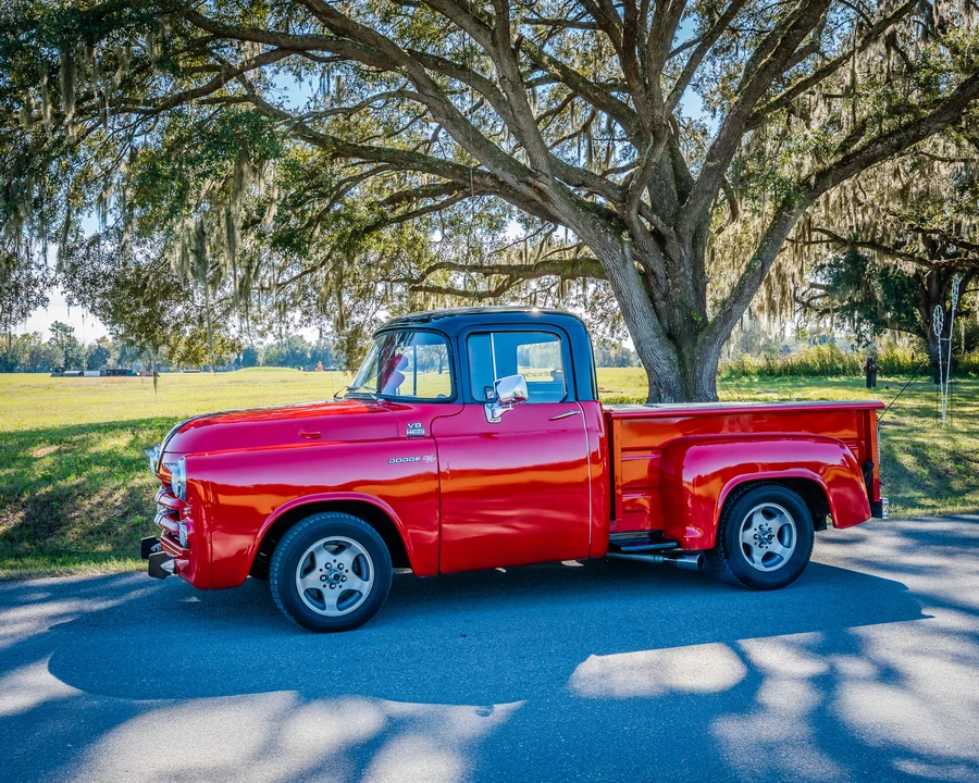 1955 Dodge C Series - Image 10 of 31