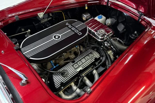 Shelby Cobra Replica - Image 6 of 8