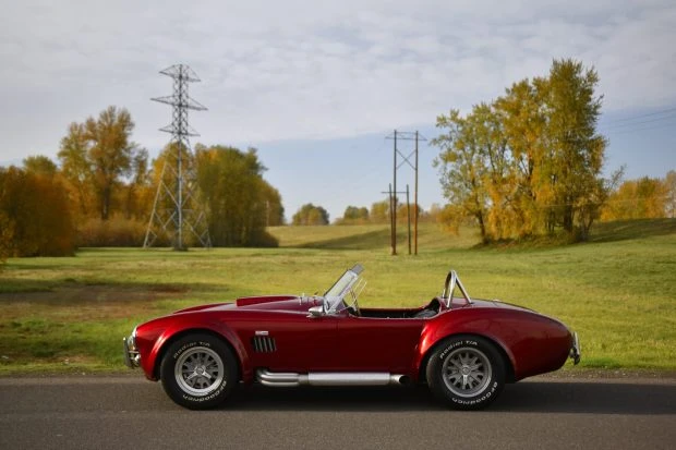 Shelby Cobra Replica - Image 3 of 8