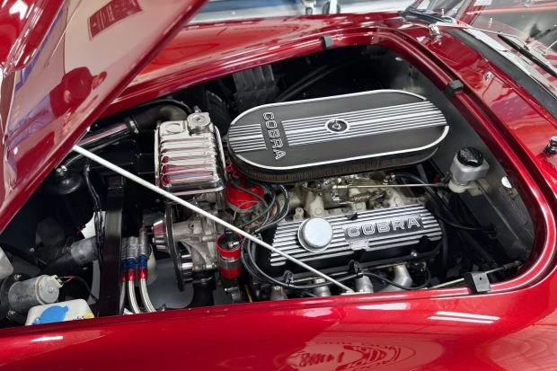 Shelby Cobra Replica - Image 6 of 8