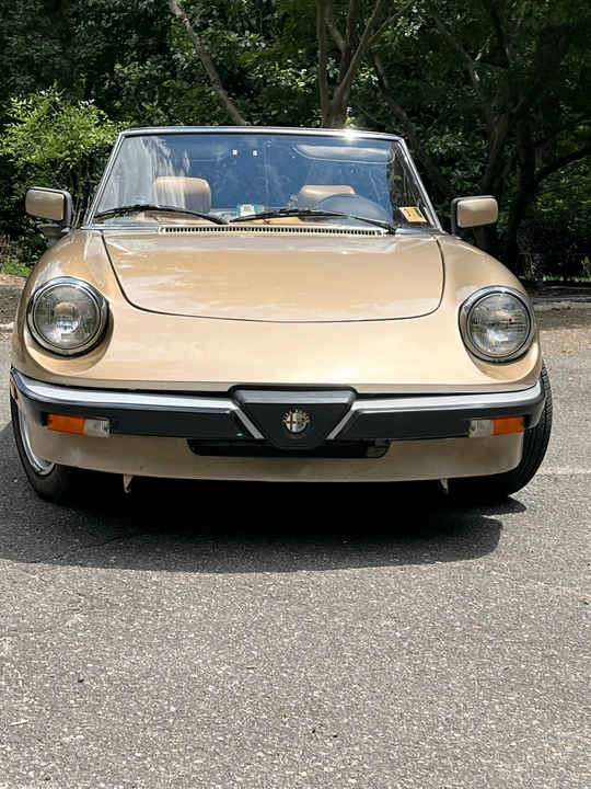 1986 Alfa Romeo Series 3 - Image 15 of 31
