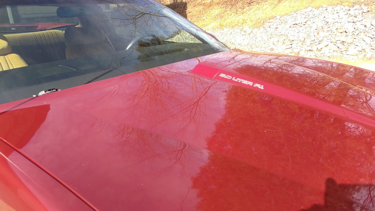 1990 Pontiac Firebird 3rd Gen - Image 19 of 31