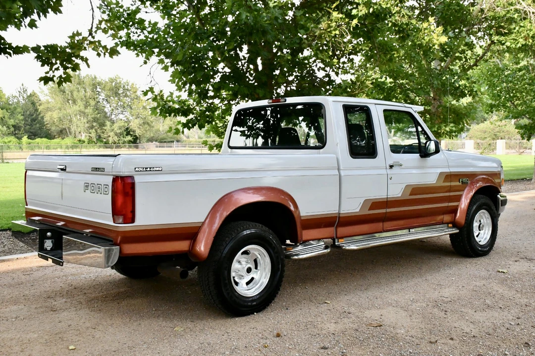 1996 Ford F-Series 9th Gen - Image 17 of 31