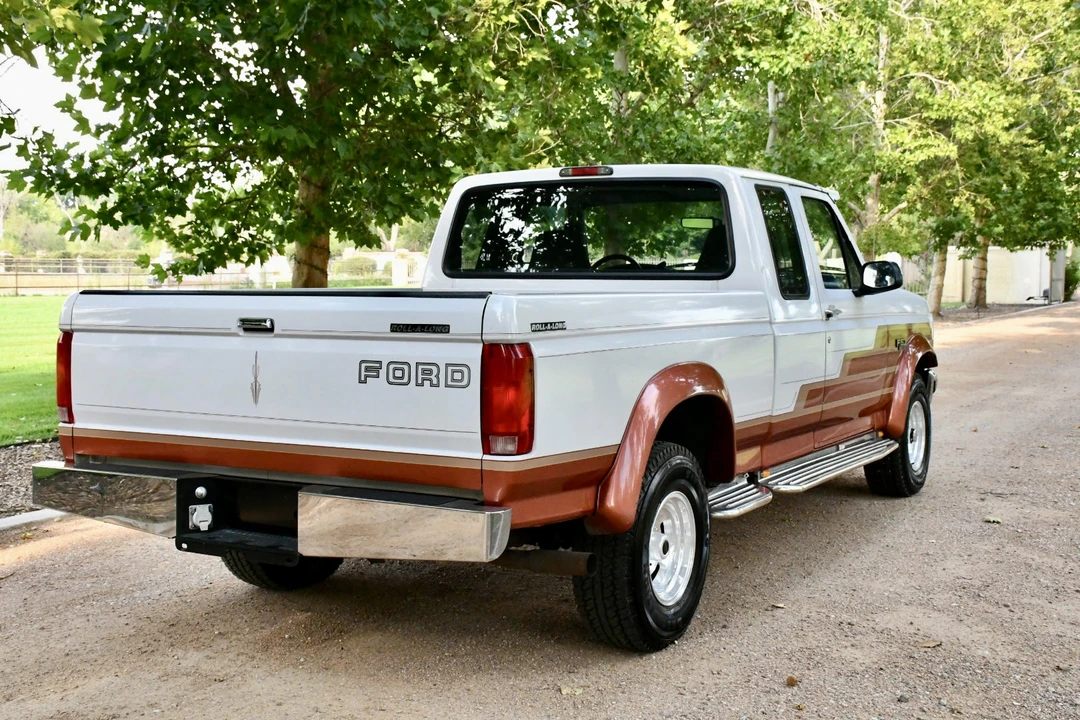 1996 Ford F-Series 9th Gen - Image 20 of 31