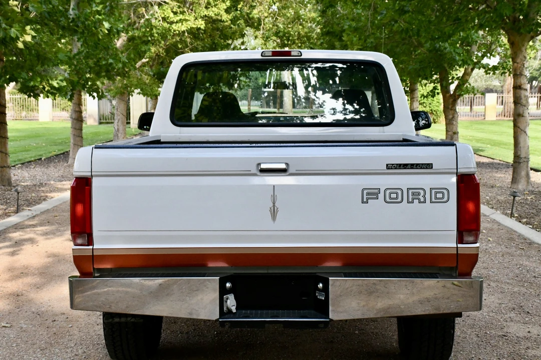 1996 Ford F-Series 9th Gen - Image 22 of 31