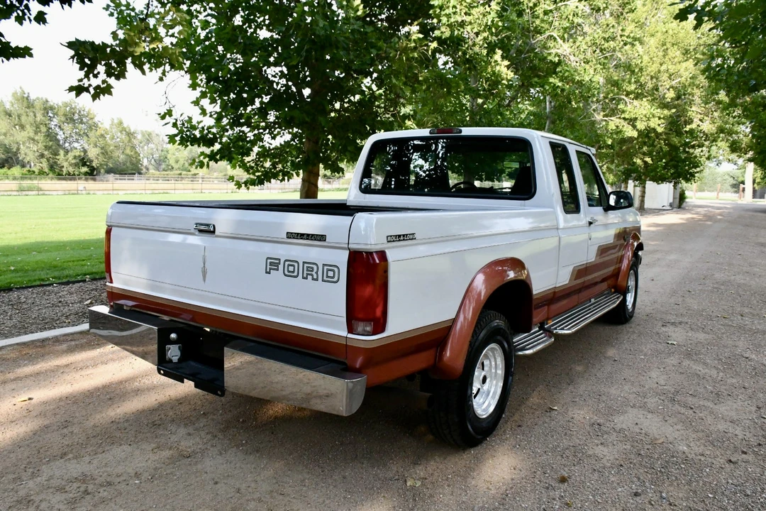 1996 Ford F-Series 9th Gen - Image 18 of 31