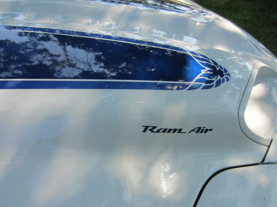 1999 Pontiac Firebird Trans Am 4th Gen - Image 9 of 31