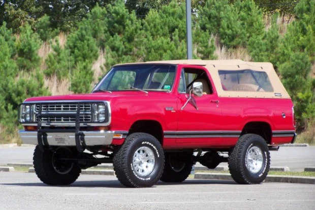 1979 Plymouth Trail Duster - Image 3 of 7