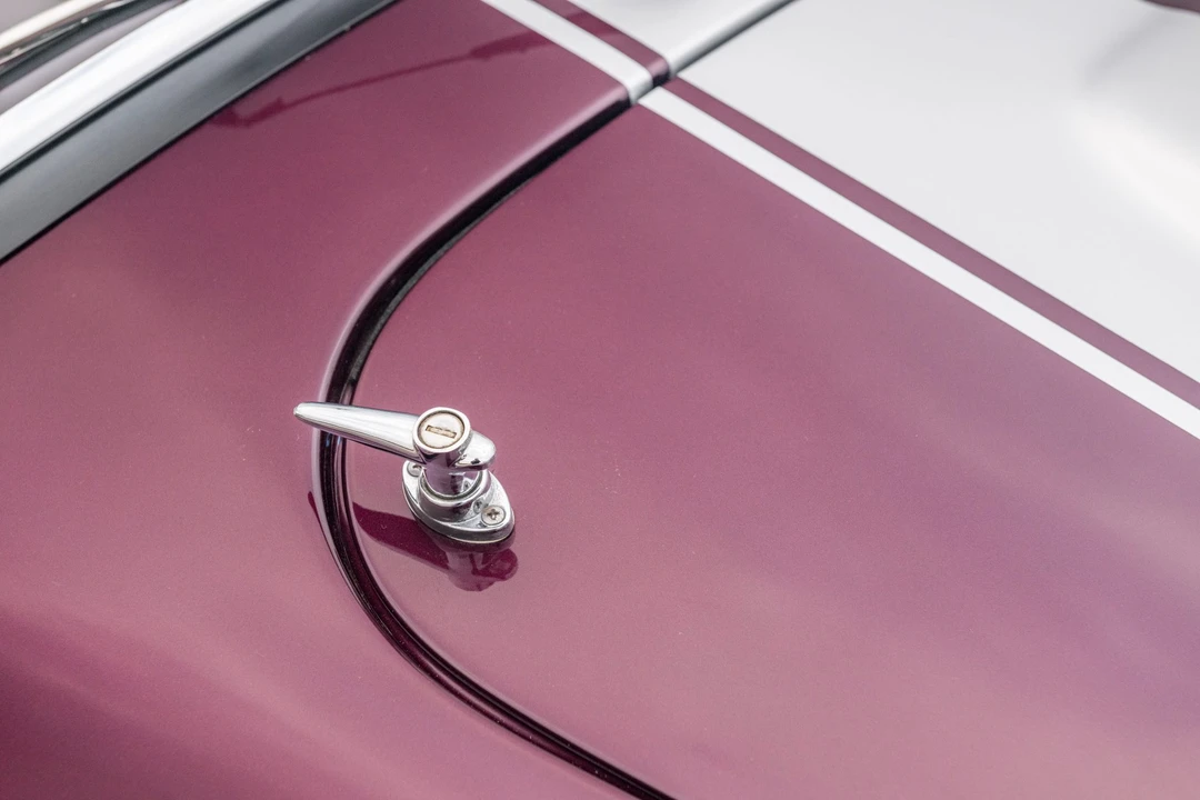 Shelby Cobra Replica - Image 30 of 31
