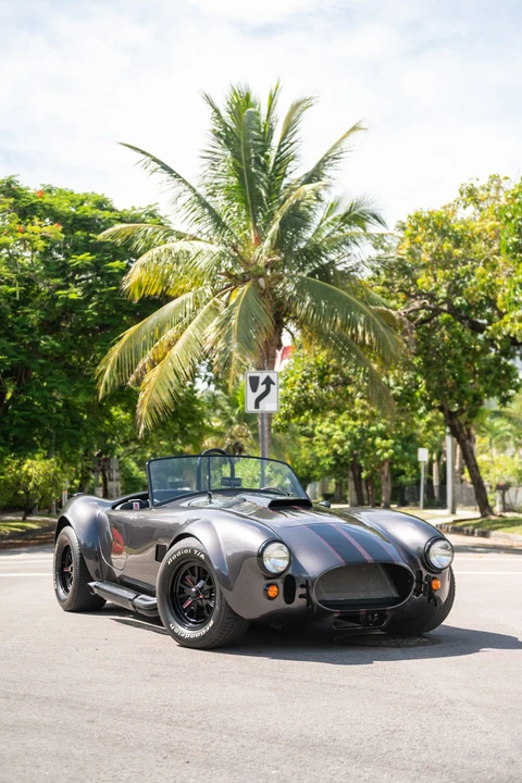 Factory Five Roadster - Image 3 of 31