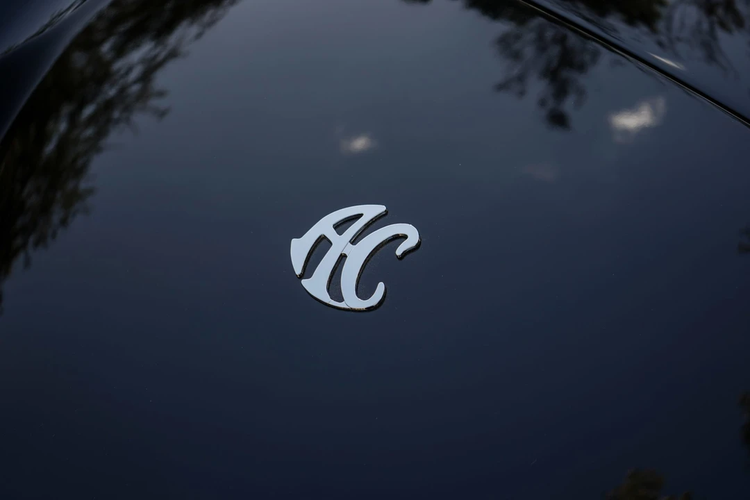 Shelby CSX Cobra Continuation - Image 29 of 31
