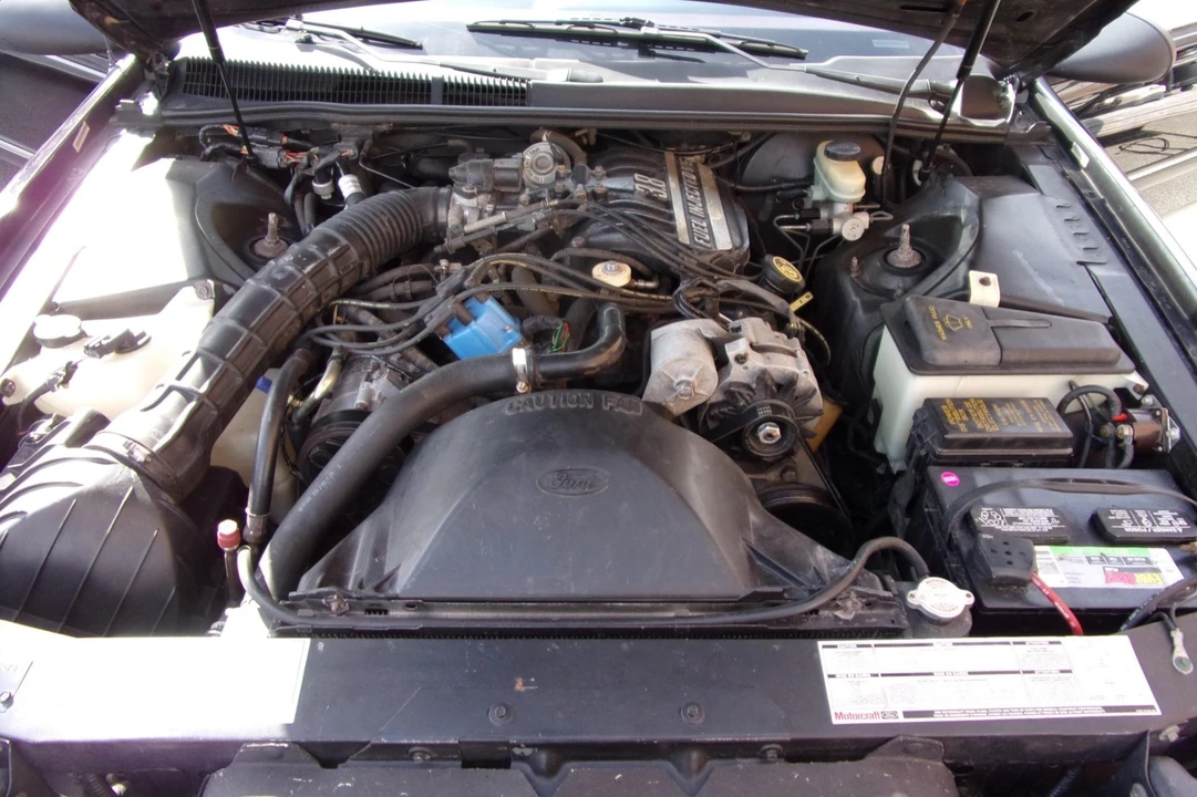 1989 Ford Thunderbird 10th Gen - Image 6 of 8