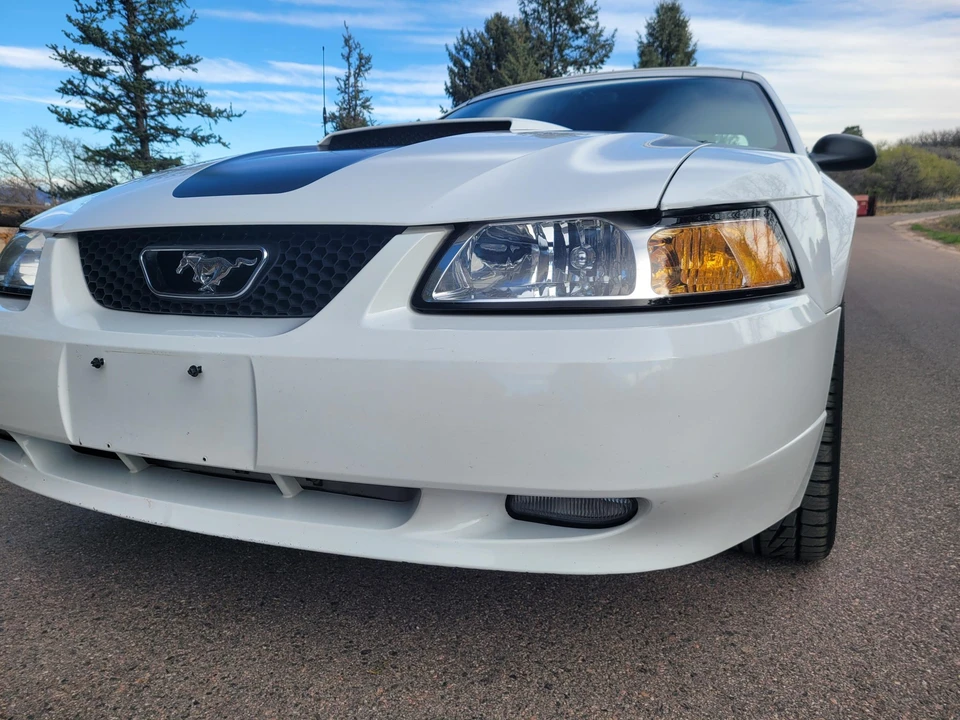 1999 Ford SN95 Mustang - Image 31 of 31