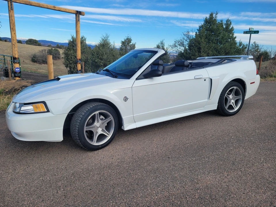 1999 Ford SN95 Mustang - Image 8 of 31