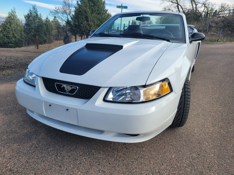 1999 Ford SN95 Mustang - Image 9 of 31
