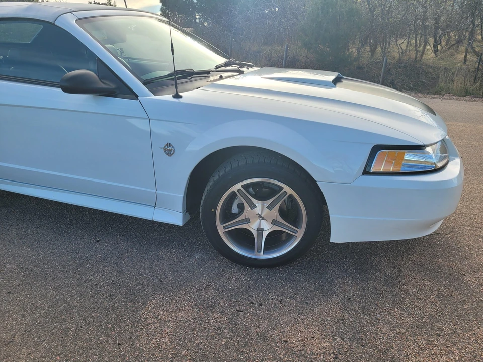 1999 Ford SN95 Mustang - Image 13 of 31