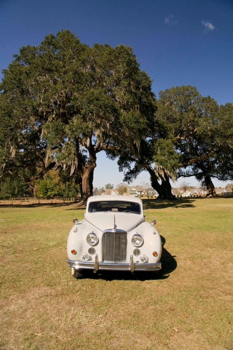 1959 Jaguar Mark VII & VIII & IX - Image 18 of 31
