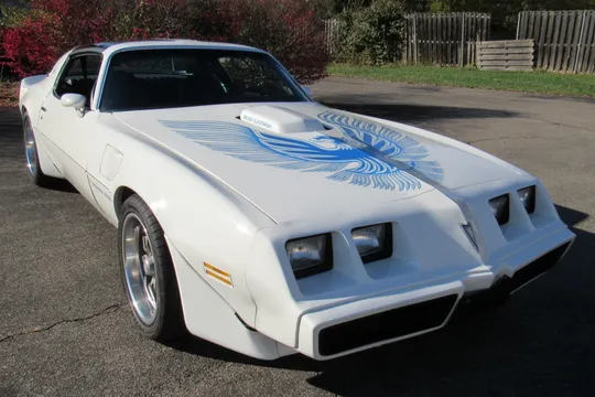 1981 Pontiac Firebird Trans Am