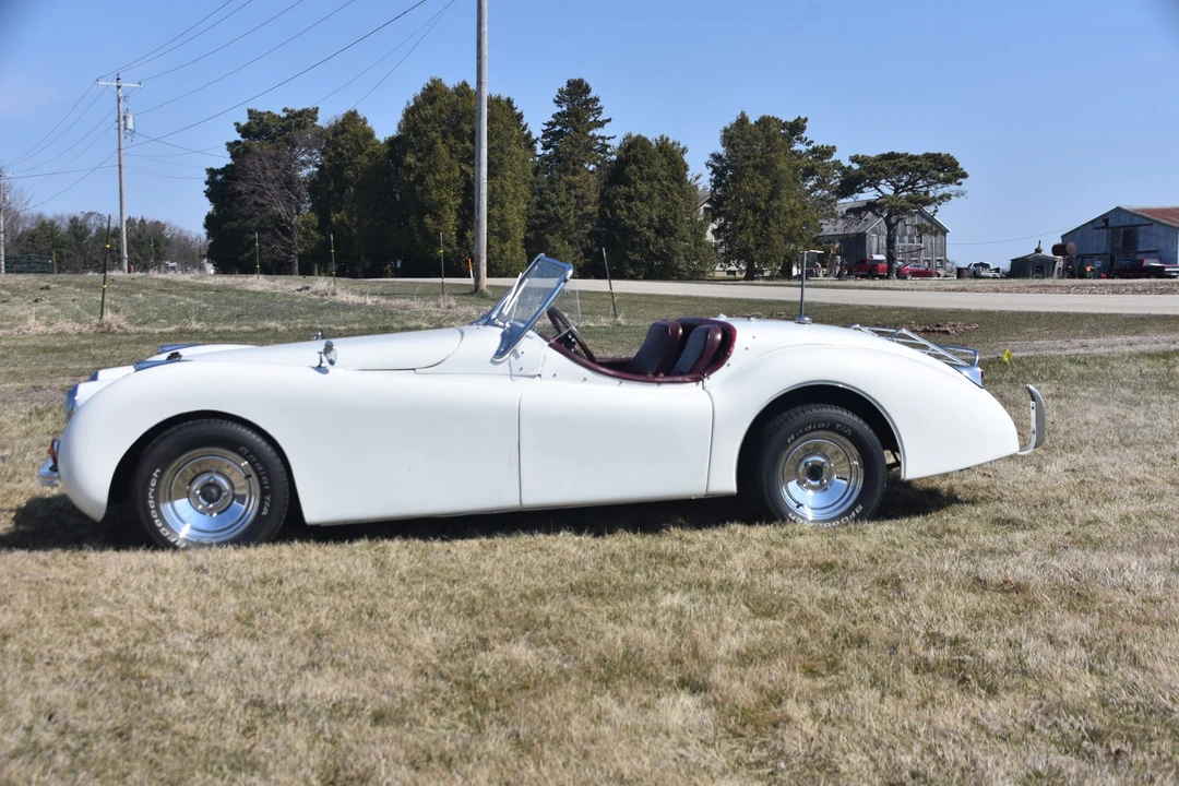 Jaguar Replica - Image 2 of 31