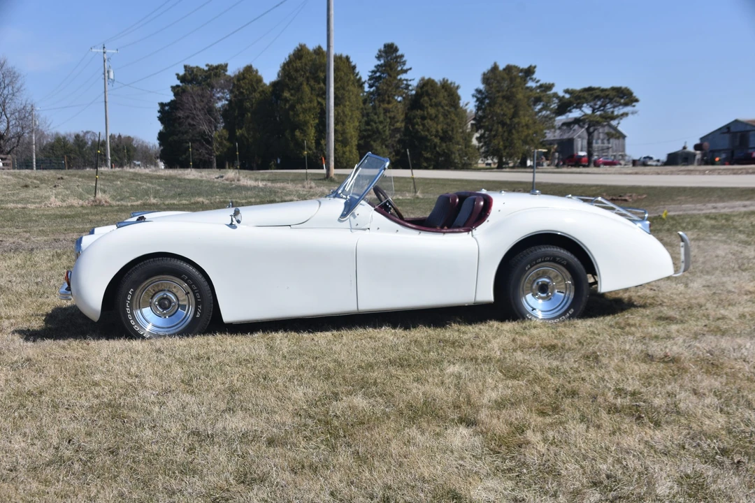 Jaguar Replica - Image 3 of 31