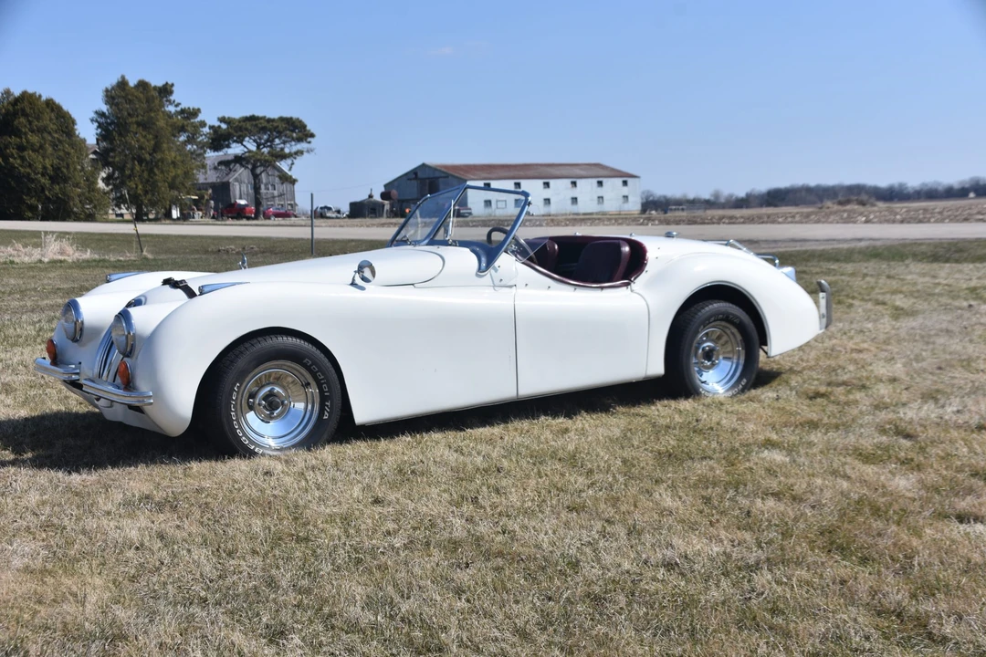 Jaguar Replica - Image 4 of 31