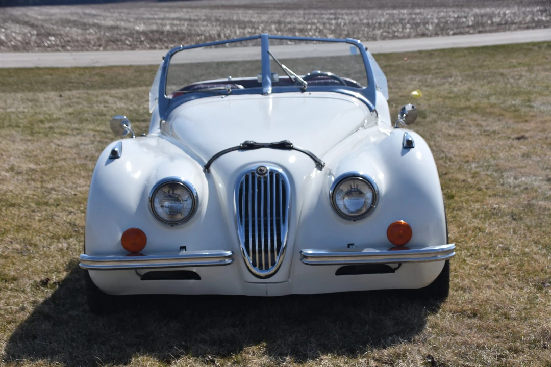 Jaguar Replica - Image 6 of 31