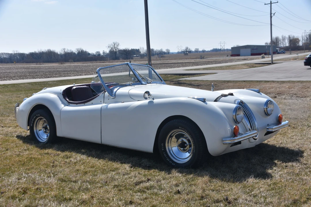 Jaguar Replica - Image 8 of 31