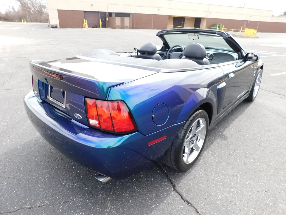 2004 Ford SN95 Mustang Cobra - Image 8 of 31