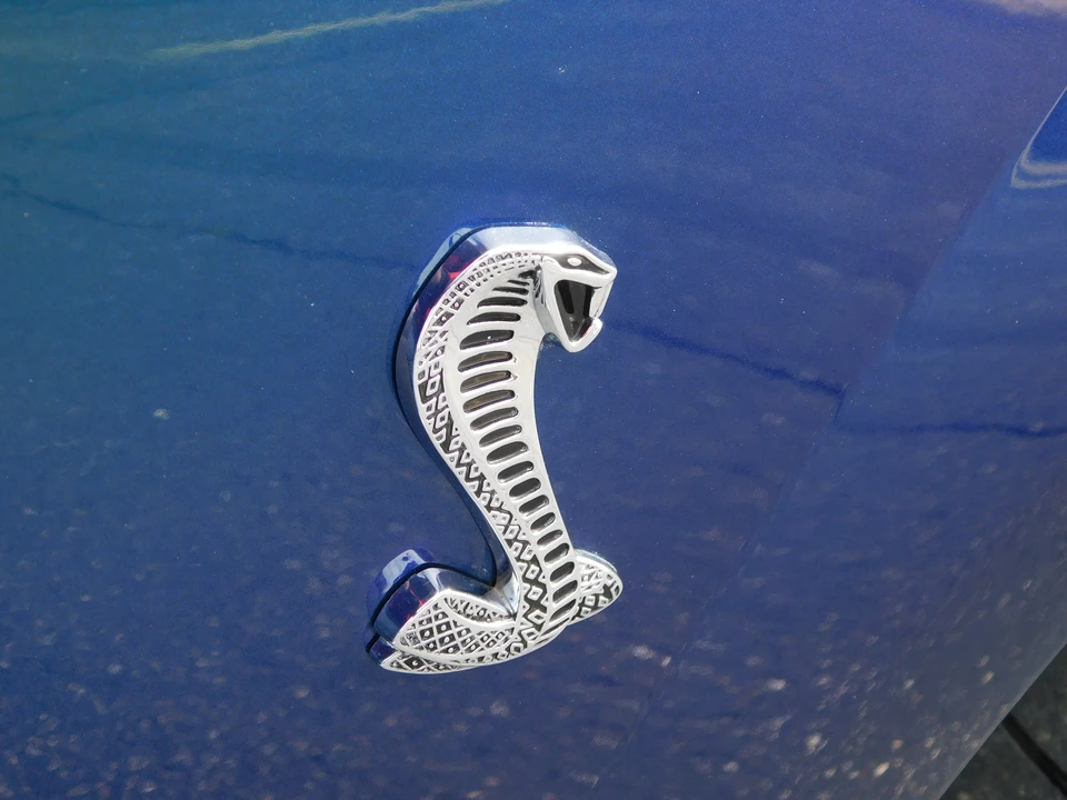 2004 Ford SN95 Mustang Cobra - Image 30 of 31