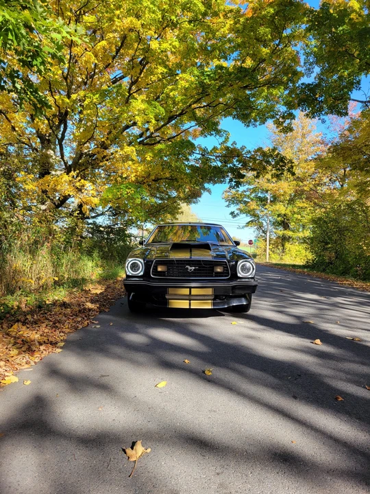 1978 Ford Mustang 2nd Gen - Image 3 of 31