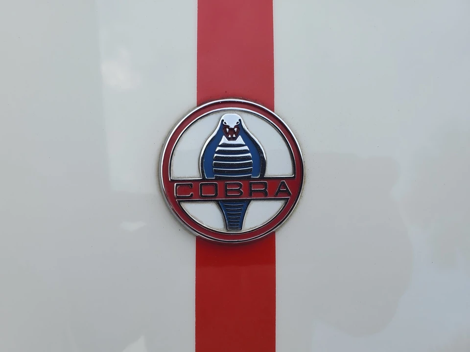 Shelby Cobra Replica - Image 20 of 31
