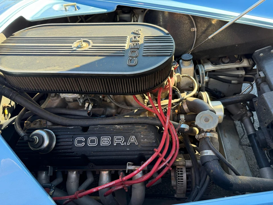 Shelby Cobra Replica - Image 18 of 22