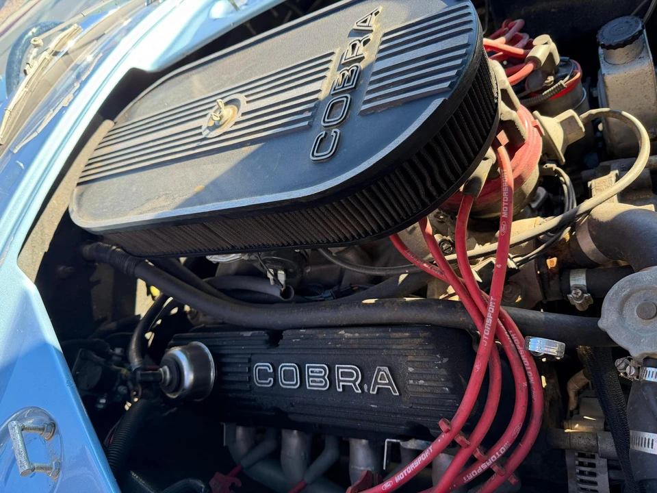 Shelby Cobra Replica - Image 19 of 22
