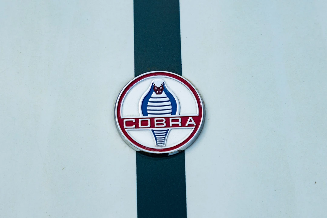 Shelby Cobra Replica - Image 17 of 31