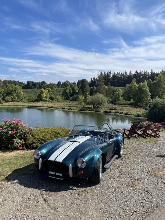 Shelby Cobra Replica - Image 3 of 31